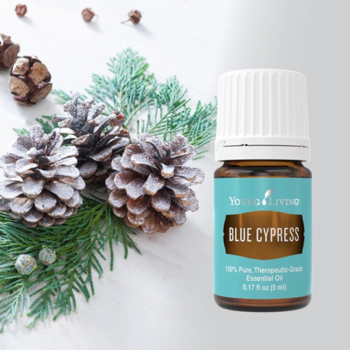 Amazon.com: Young Living - Blue Cypress Essential Oil 5 ml